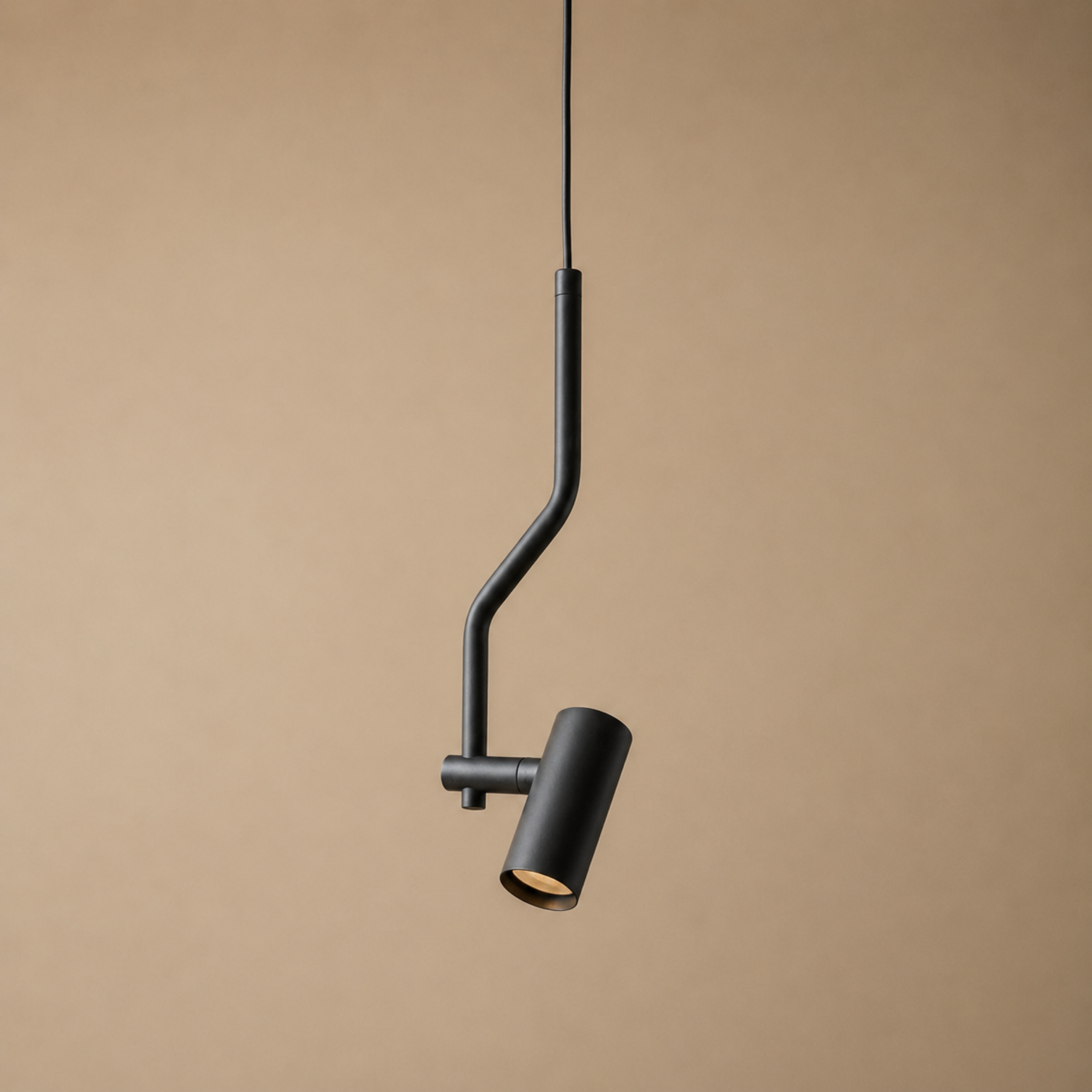 Adjustable LED Spot Pendant