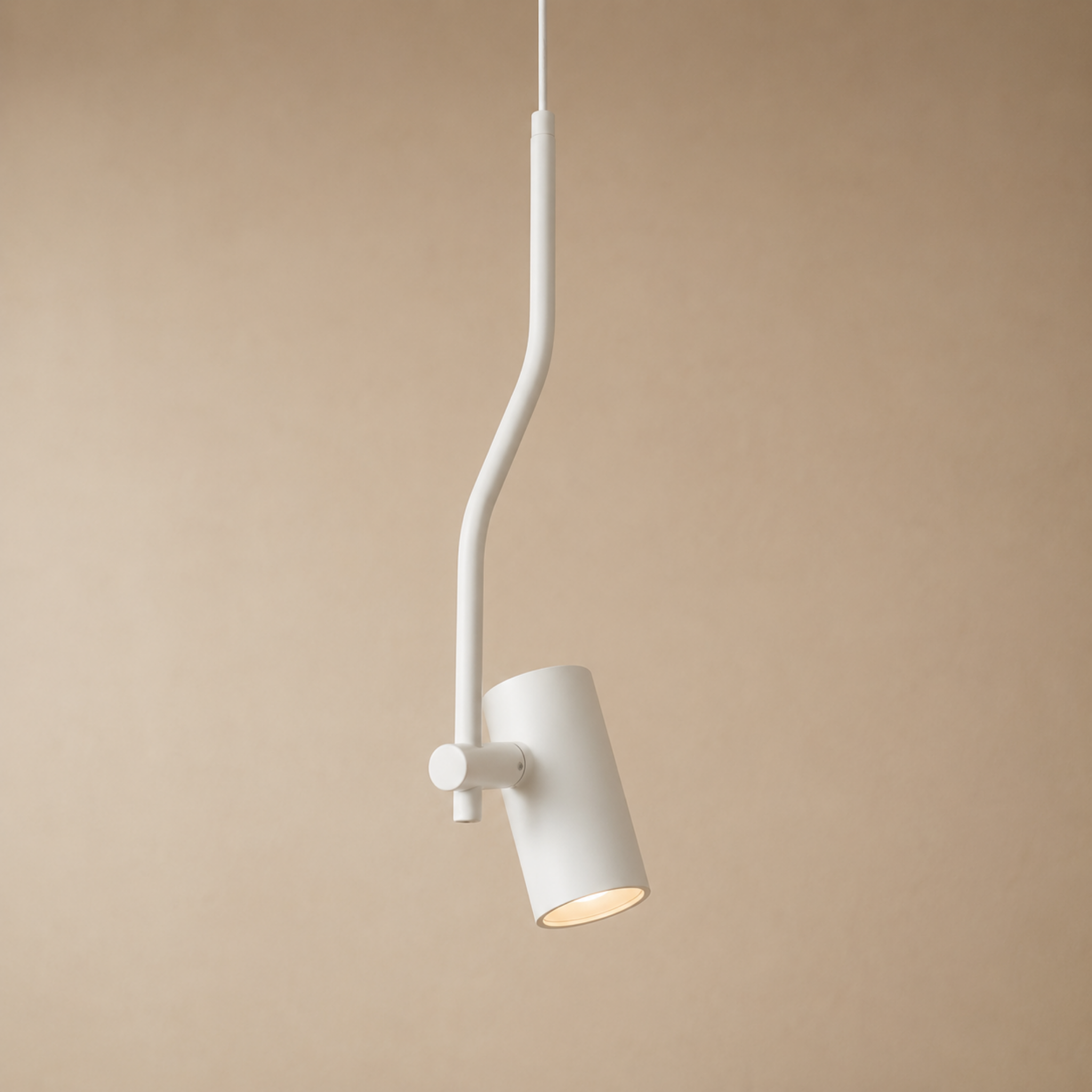 Adjustable LED Spot Pendant