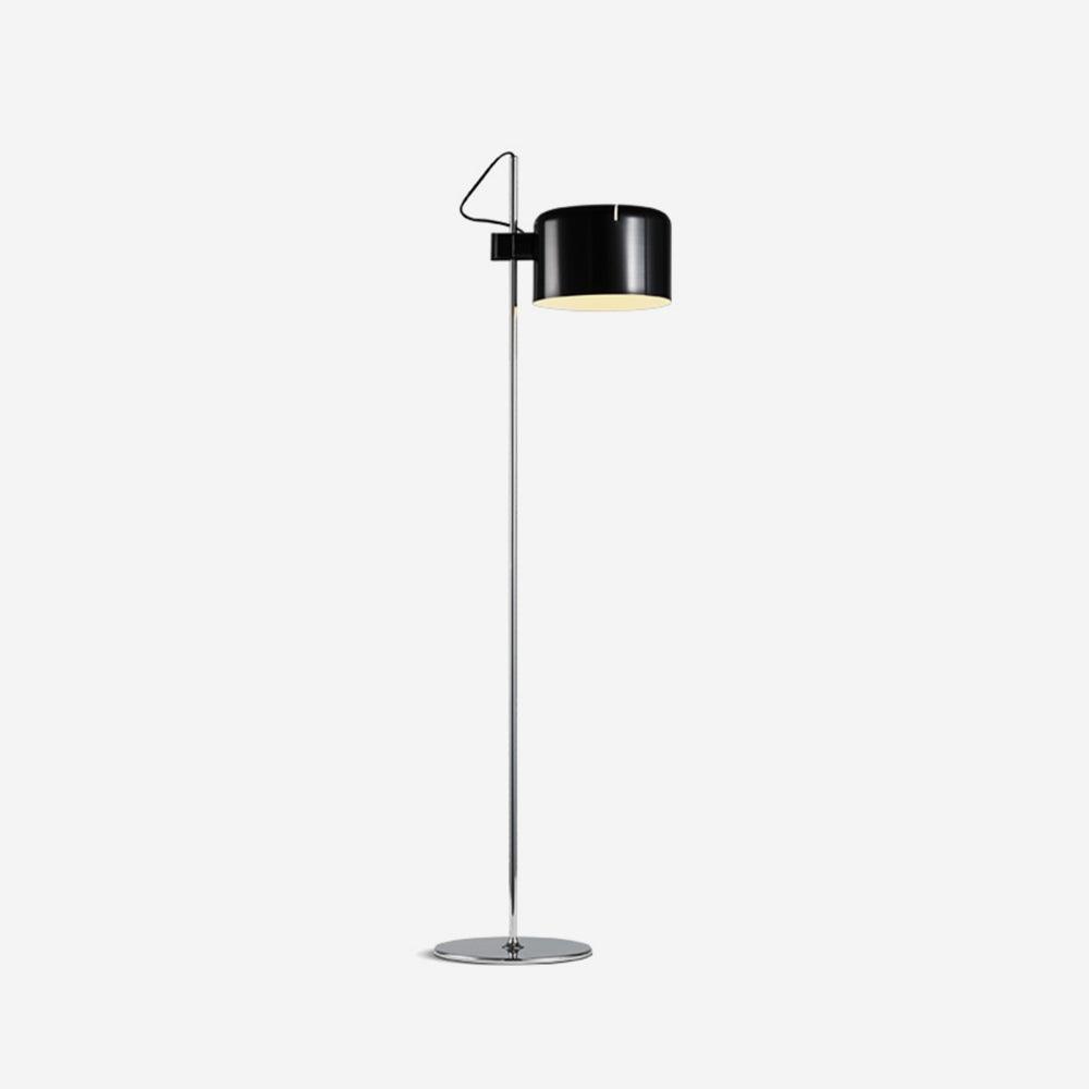 Contemporary Arc Floor Lamp
