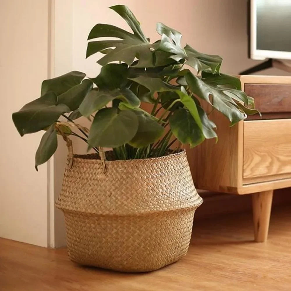 Seagrass Hanging Basket