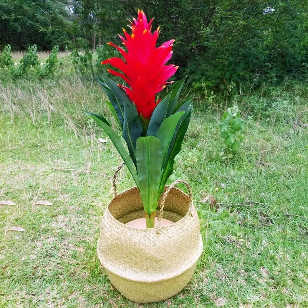 Seagrass Hanging Basket