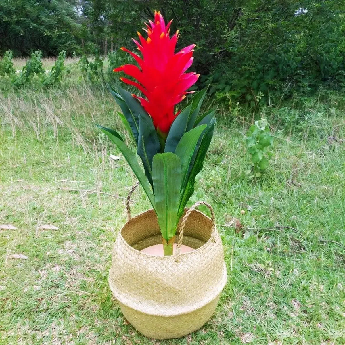 Seagrass Hanging Basket