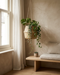 Seaweed Wicker Basket Rattan Hanging Flowerpot styled in a Japandi interior