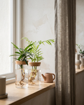 Glass Propagation Vase styled in a Japandi interior