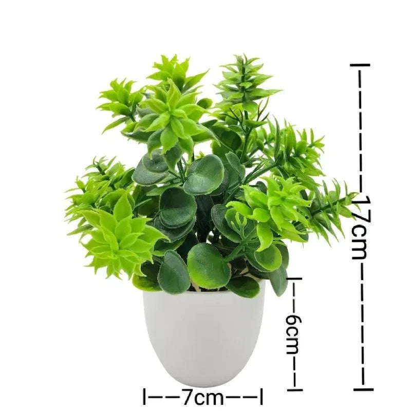 alishop:6b9cc16102f9