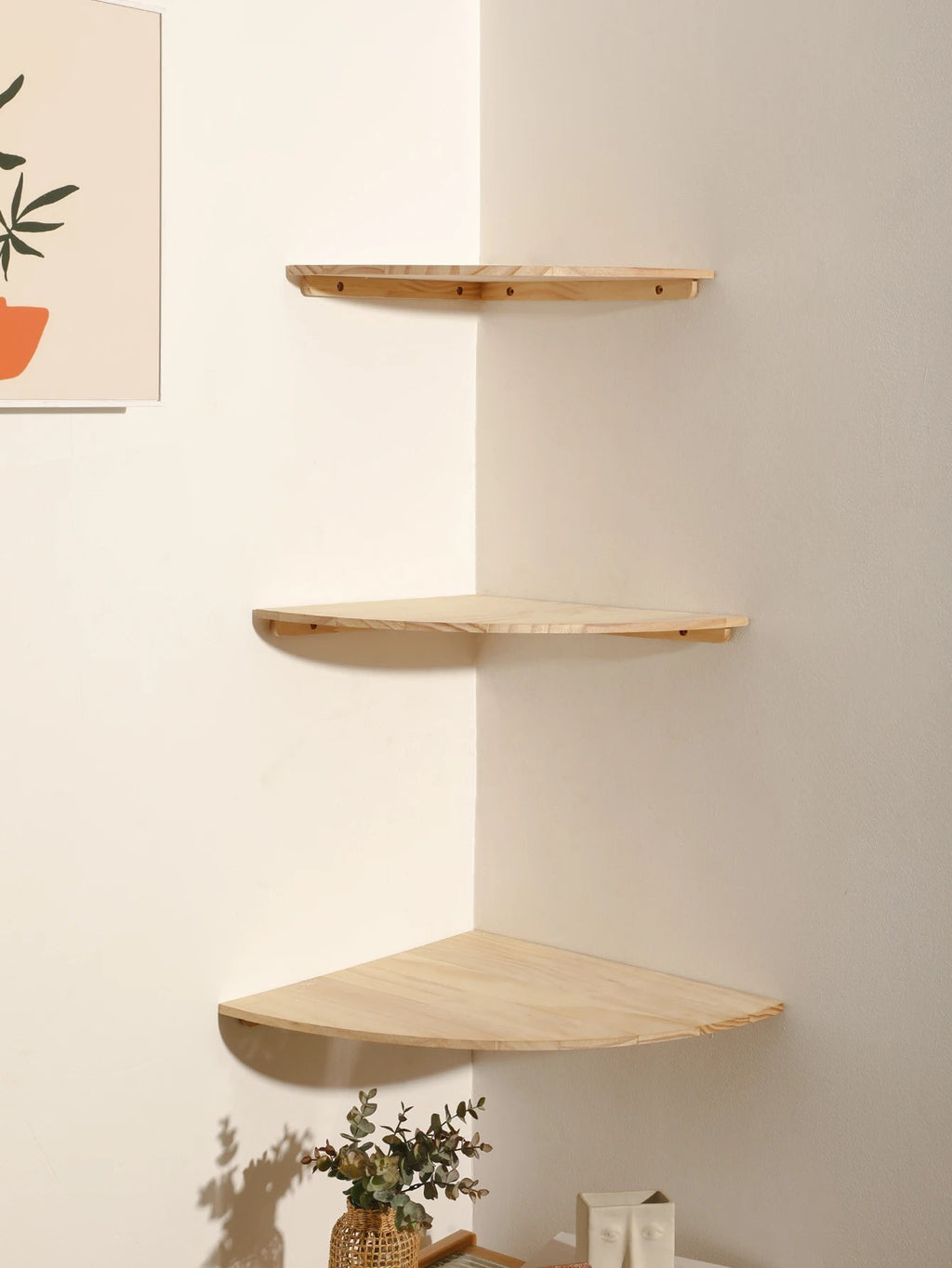 alishop:5ef480c2395e