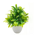 alishop:82fb2abf3193