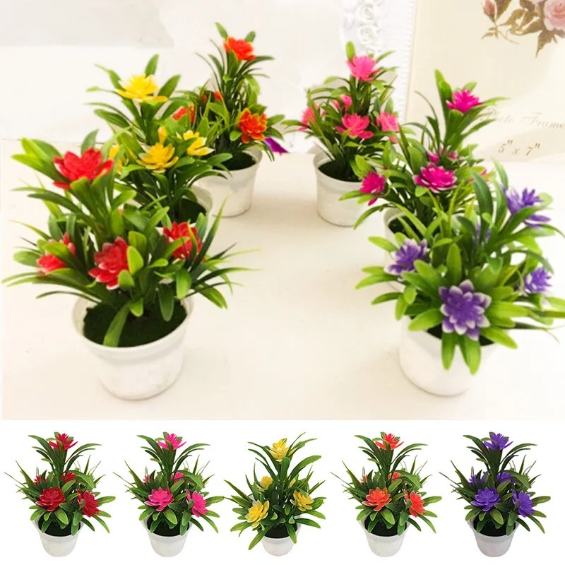 alishop:e20ba2ae43d6