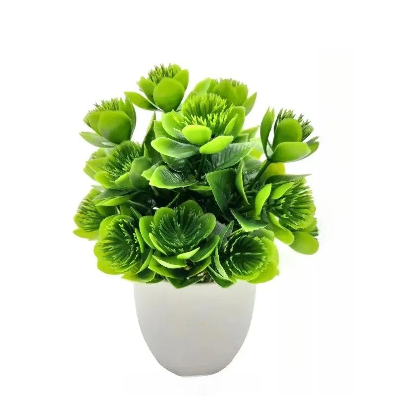alishop:a4218a2677cd