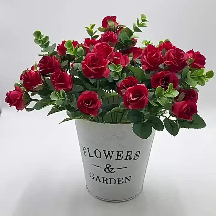 alishop:0264679f3af4