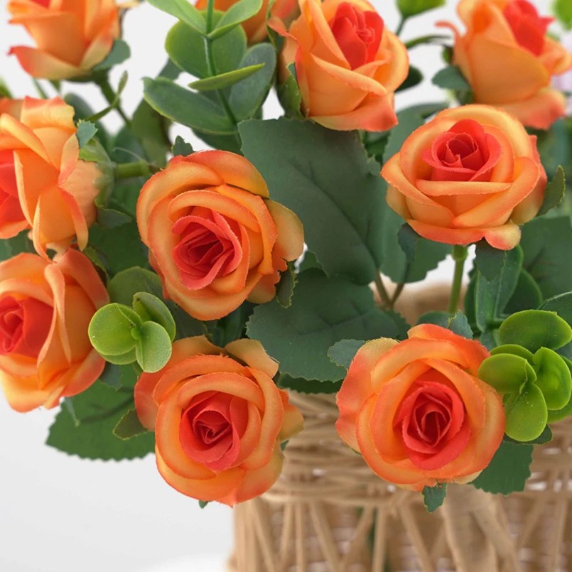 alishop:5df695eed2e9