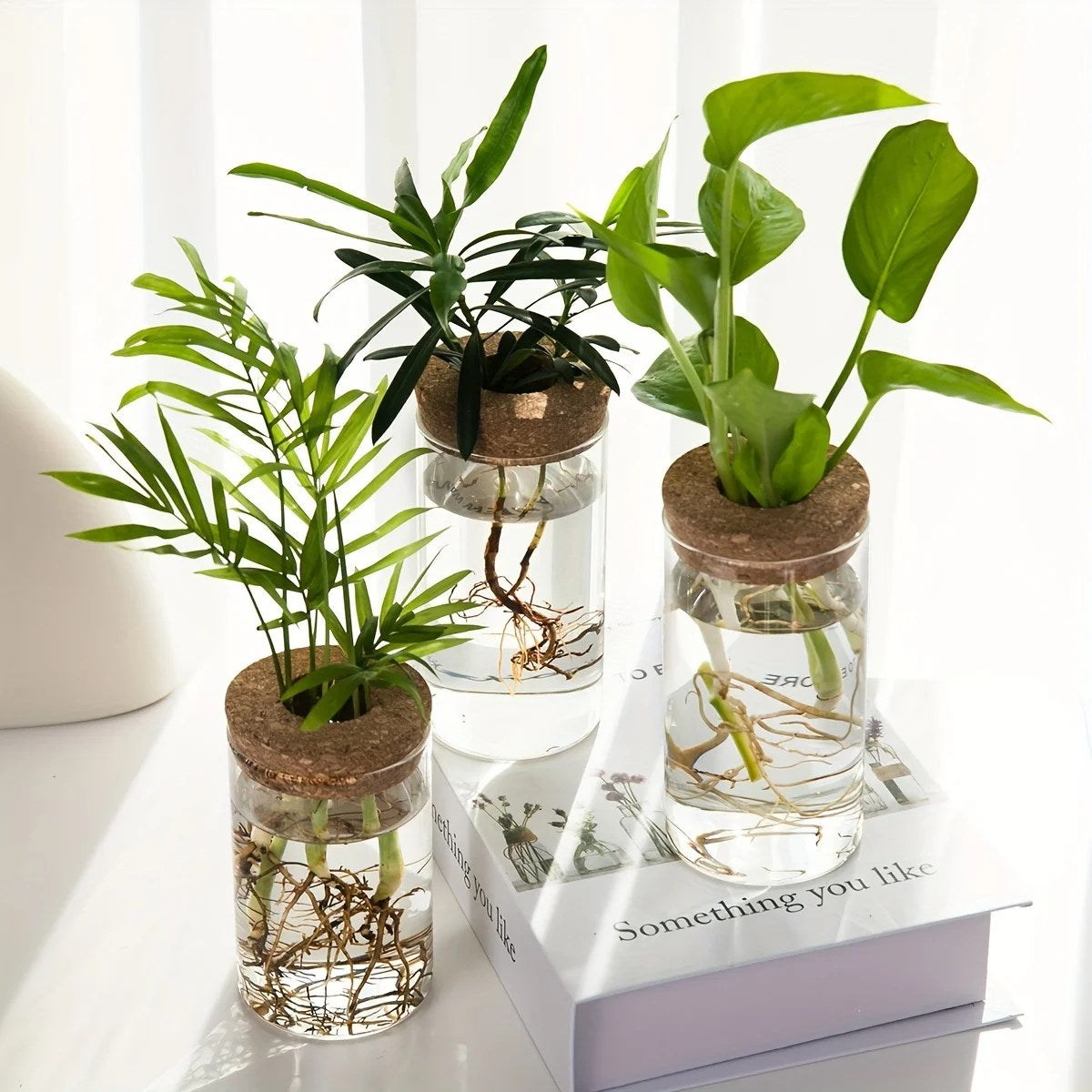 alishop:f4674658cedf