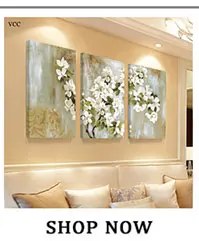 alishop:81a897705c51