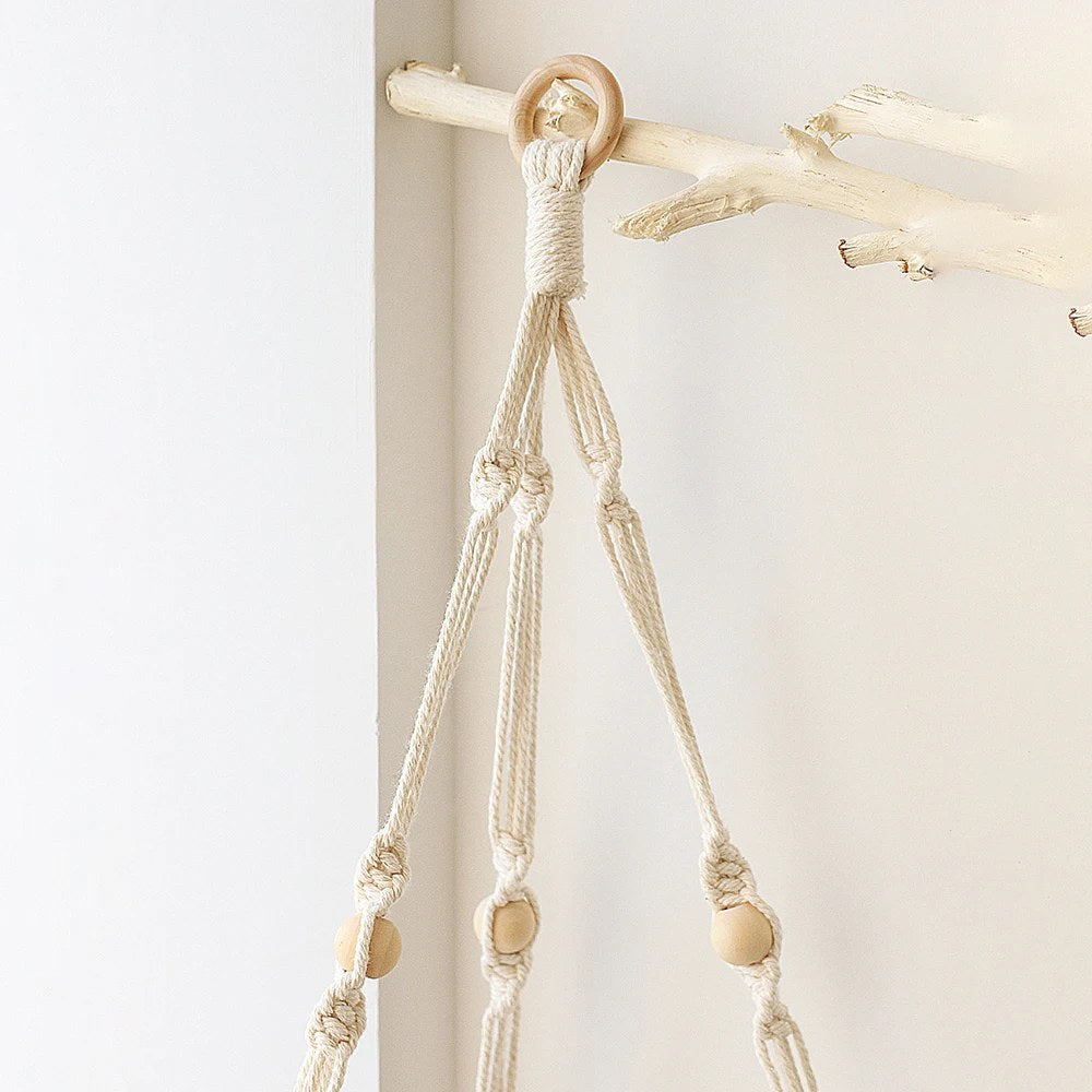 alishop:878e8220d500