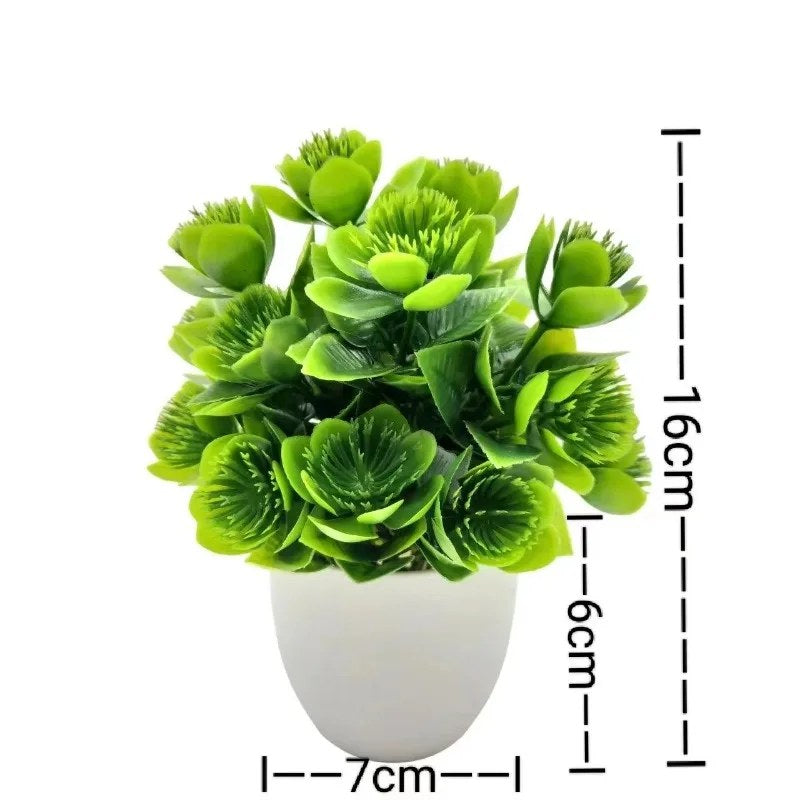 alishop:0c5034e399d2
