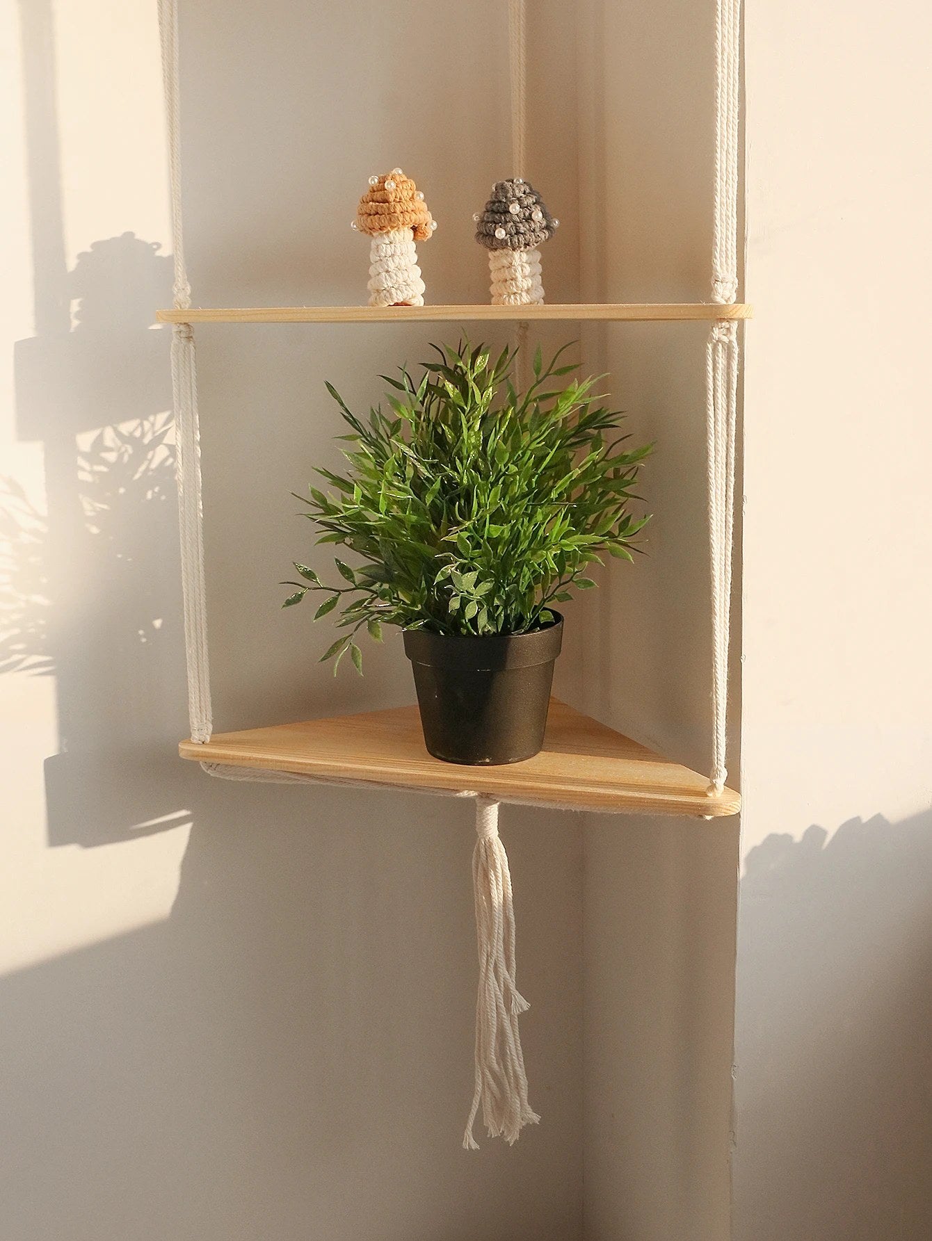 alishop:a8dbd85ce6a6