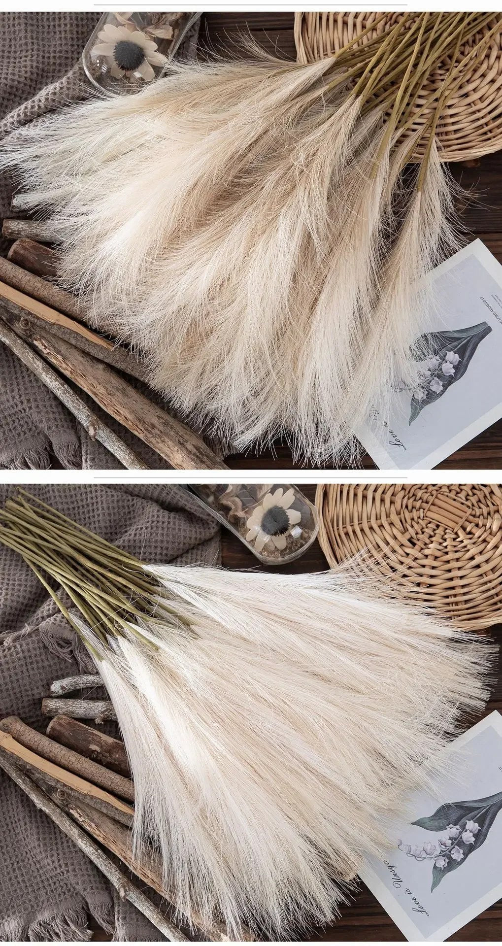 alishop:2a33f5fa17cd
