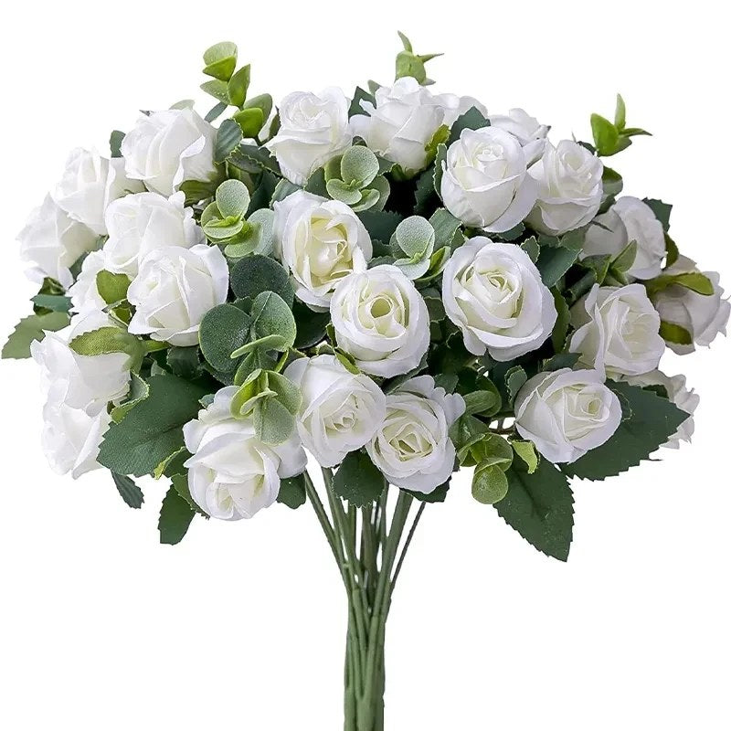 alishop:e8419106e3af
