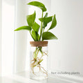 alishop:e78db081623f