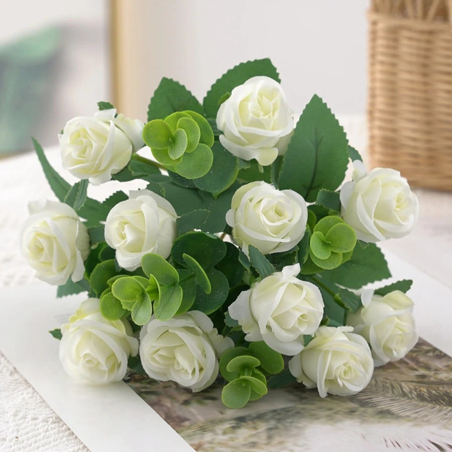 alishop:c46d6e11608f