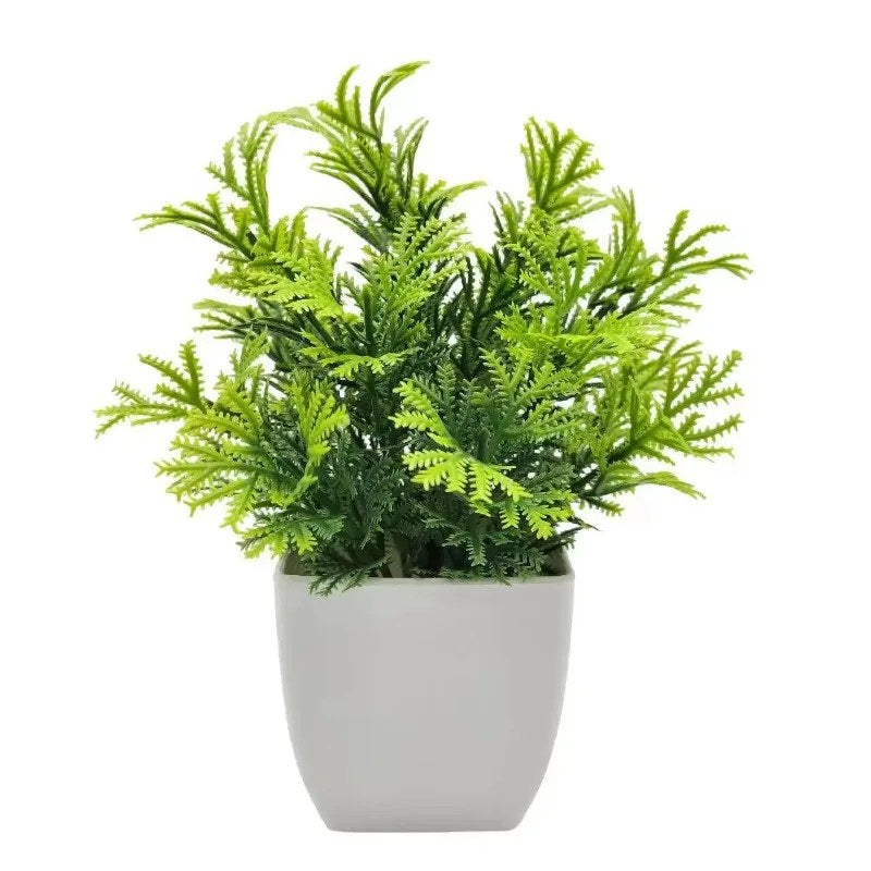 alishop:4d89b354716b